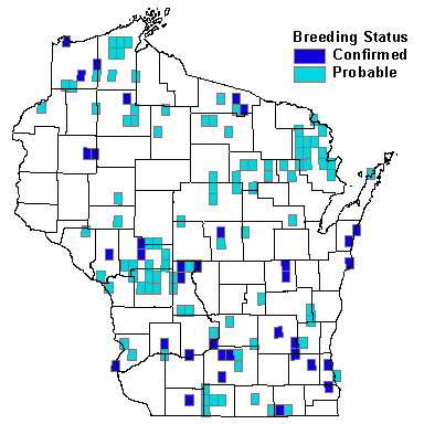 Common Nighthawk Map