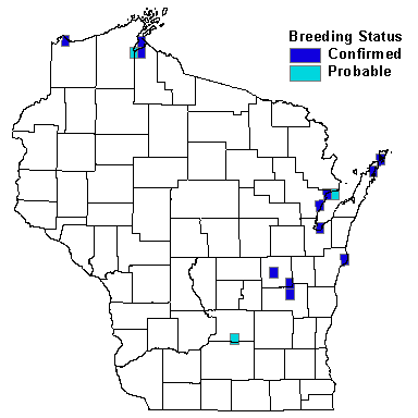 Common Tern Map