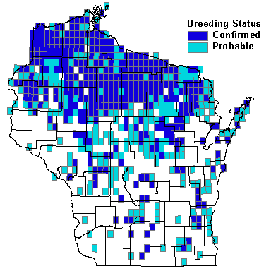 Chestnut-sided Warbler Map