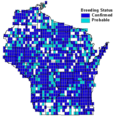 Downy Woodpecker Map