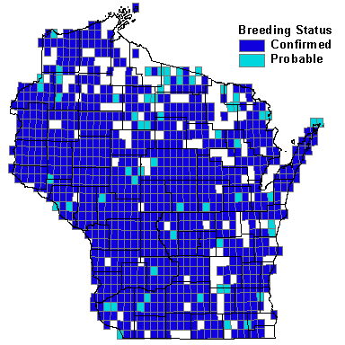 Eastern Bluebird Map