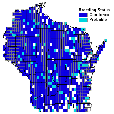 Eastern Phoebe Map