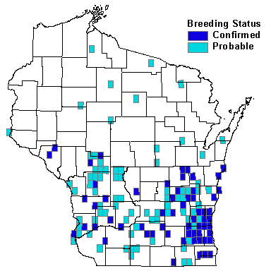 Eastern Screech-Owl Map