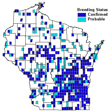 Great Horned Owl Map