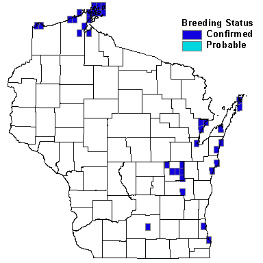 Herring Gull Map