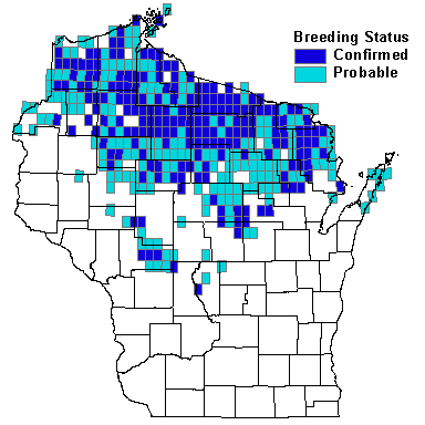 Hermit Thrush Map