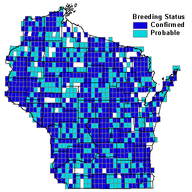 Indigo Bunting Map