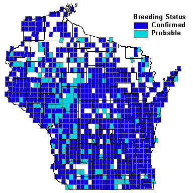 Killdeer Map