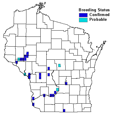 Lark Sparrow Map