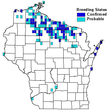 Magnolia Warbler Map