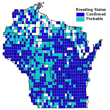 Mourning Dove Map