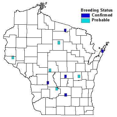 Northern Mockingbird Map