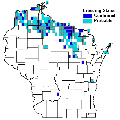 Northern Parula Map