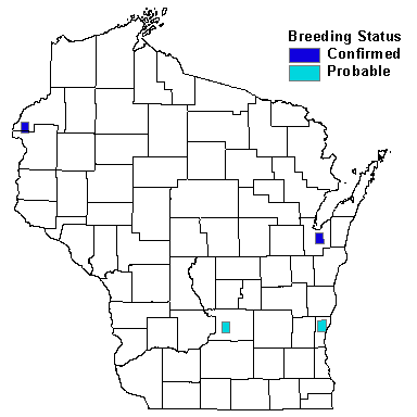 Northern Pintail Map