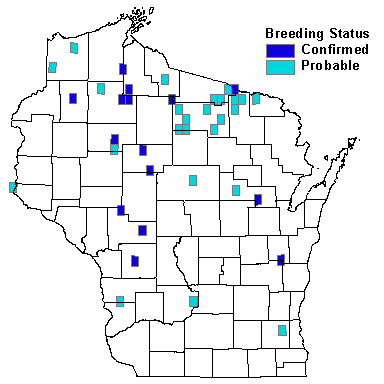 Northern Saw-whet Owl Map