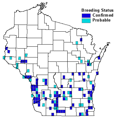 Orchard Oriole Map