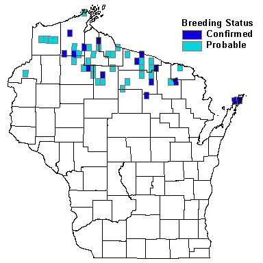 Olive-sided Flycatcher Map