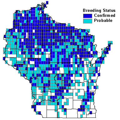 Ovenbird Map