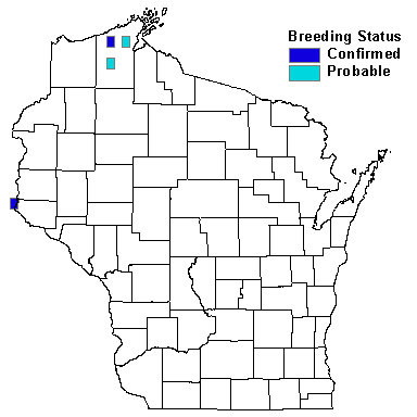 Philadelphia Vireo Map