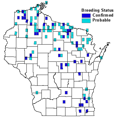 Pine Siskin Map