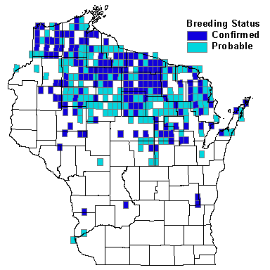 Purple Finch Map