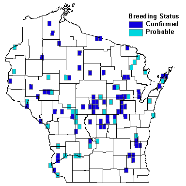 Red-shouldered Hawk Map