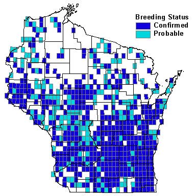 Red-tailed Hawk Map