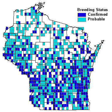 Warbling Vireo Map