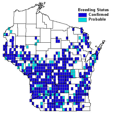 Wild Turkey Map