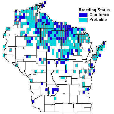 Winter Wren Map