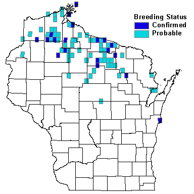 Yellow-bellied Flycatcher Map