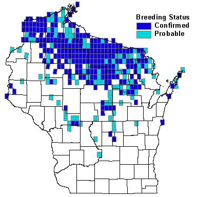 Yellow-rumped Warbler Map