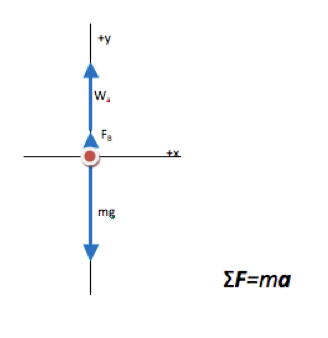 Objects in a Horizontal Circle