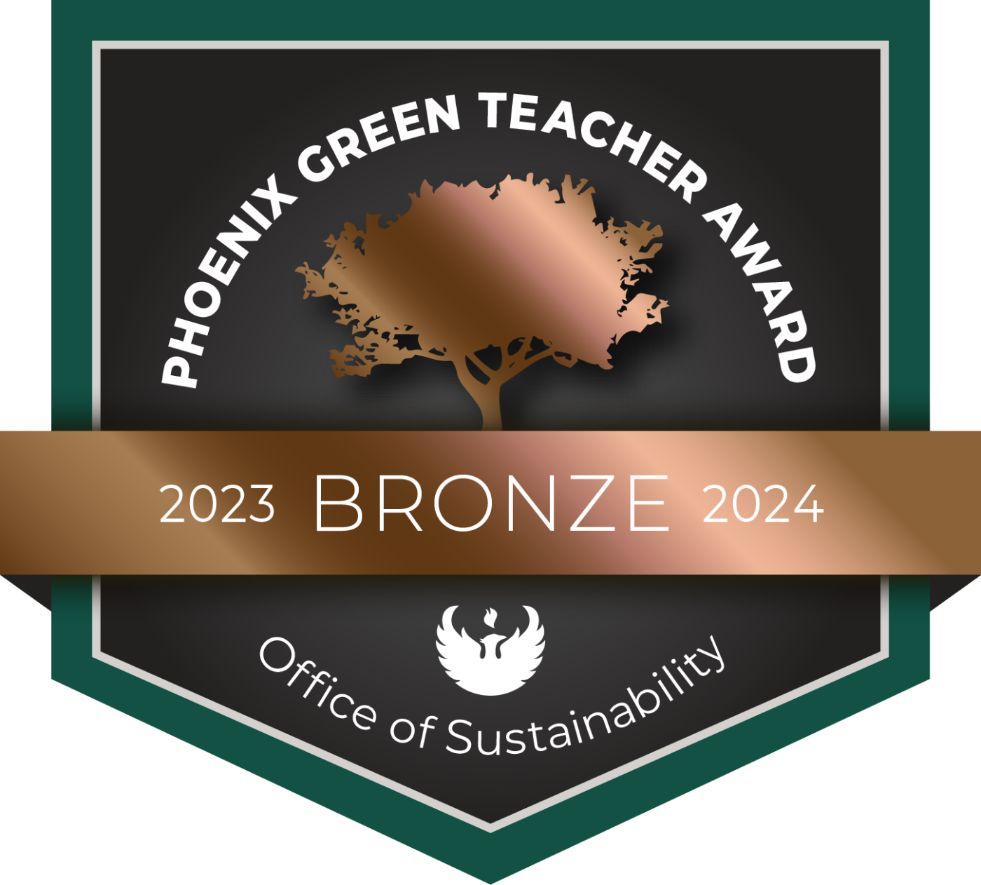 Bronze Teacher Award