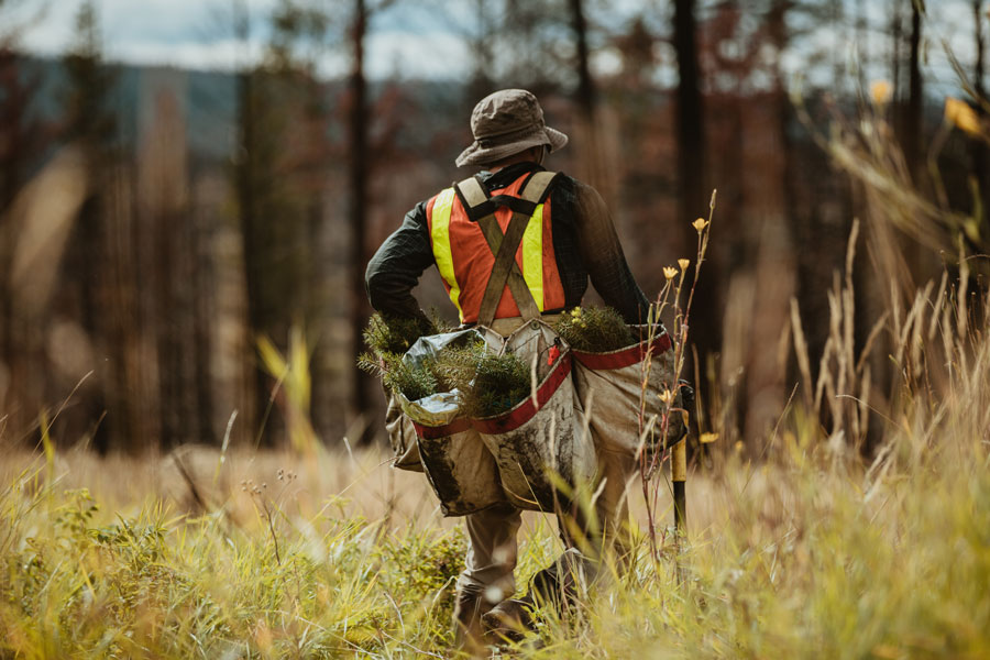 Man walking with bags in woods