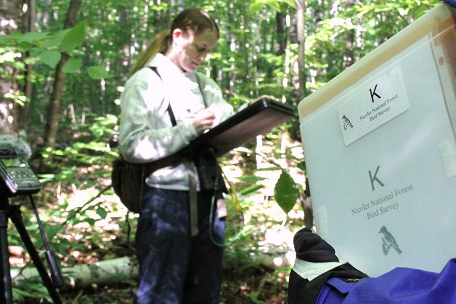 Bird Survey