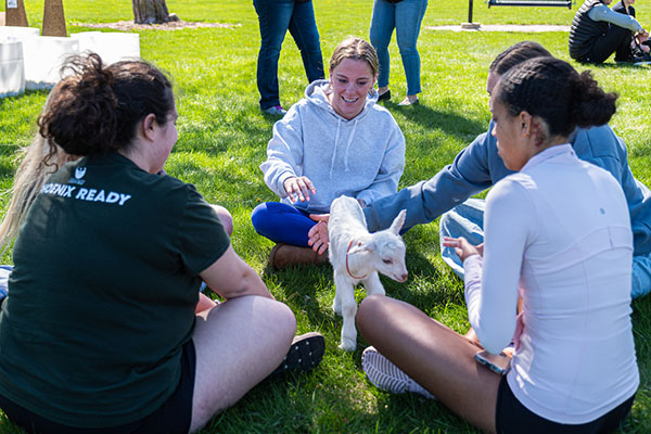 Group of seated students with a goat in the middle