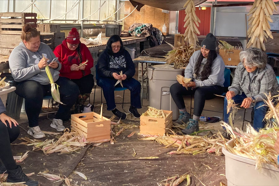 Students husking corn