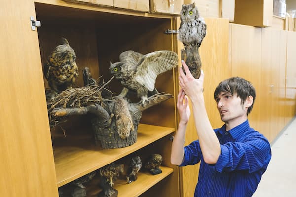 Student working in the Richter Natural History Museum