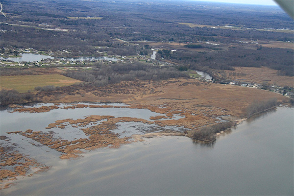 Dead Horse Bay