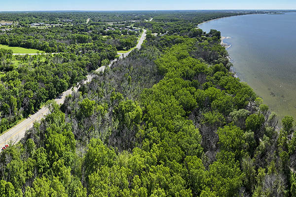 Arial image of campus trees along the bay