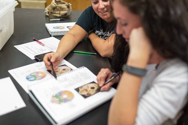 Two students studying anatomy from textbook