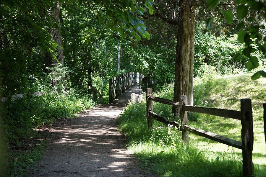 Shorewood Park trail.