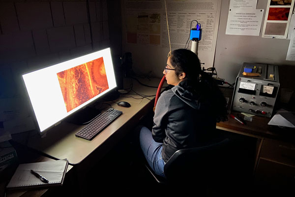 Student researching at computer