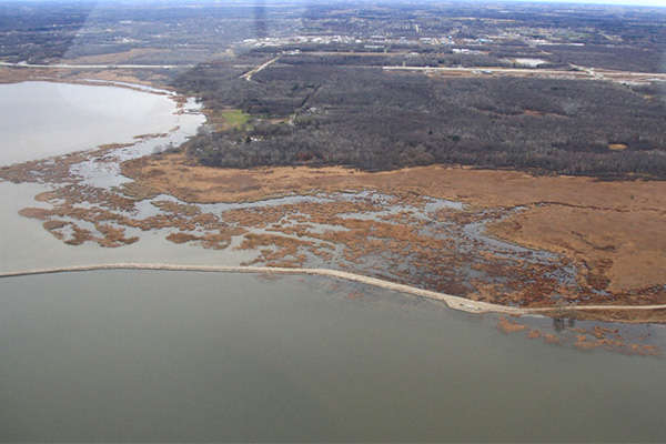 Peters Marsh