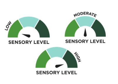 Sensory Icons