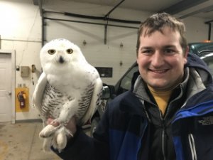 Tom Erdman holding an owl