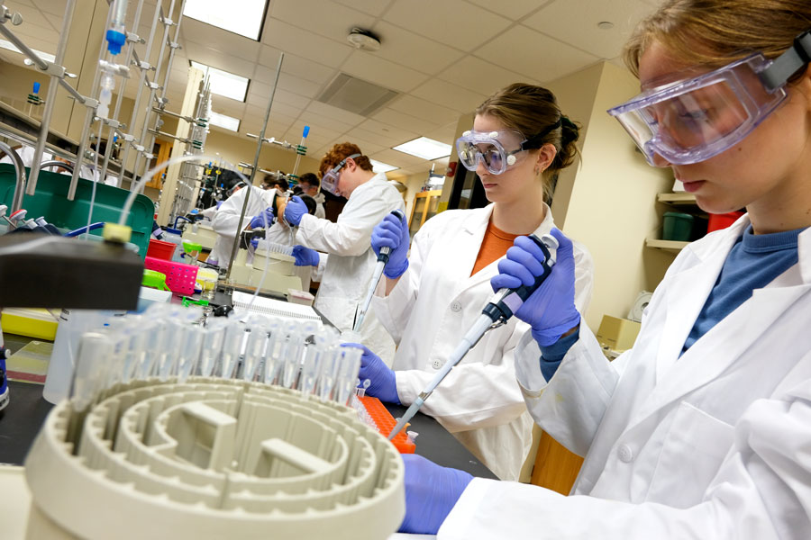 Students in lab