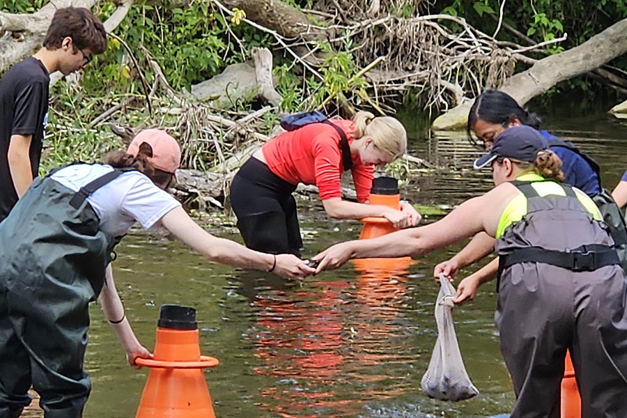 Students in waders gathering data and specimen from a stream