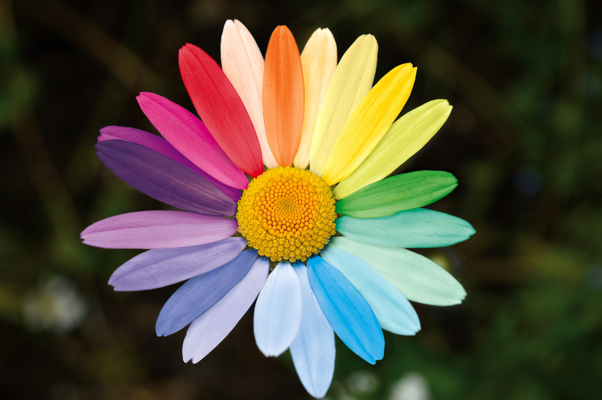 Suicide Prevention in LGBTQIA+ Communities